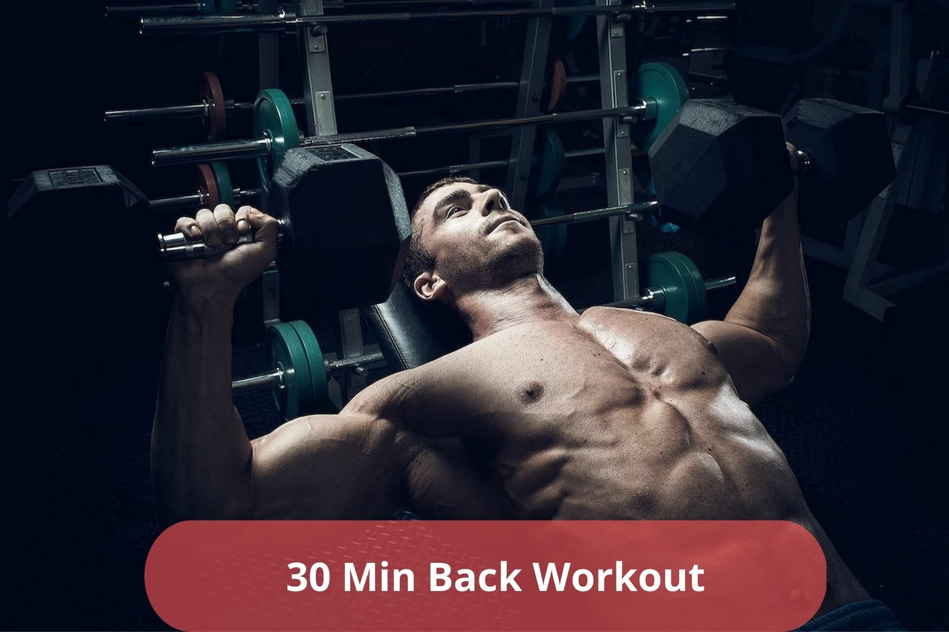 30 min back workout